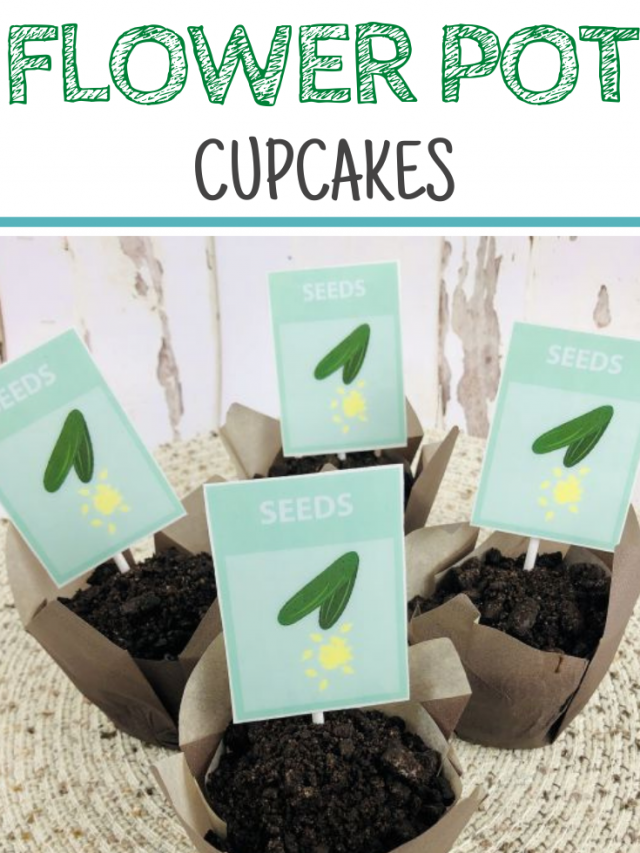 How To Make Flower Pot Cupcakes