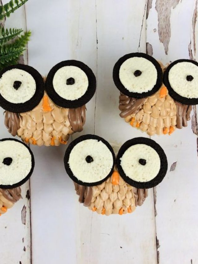 How to Make Hoot Owl Cupcakes